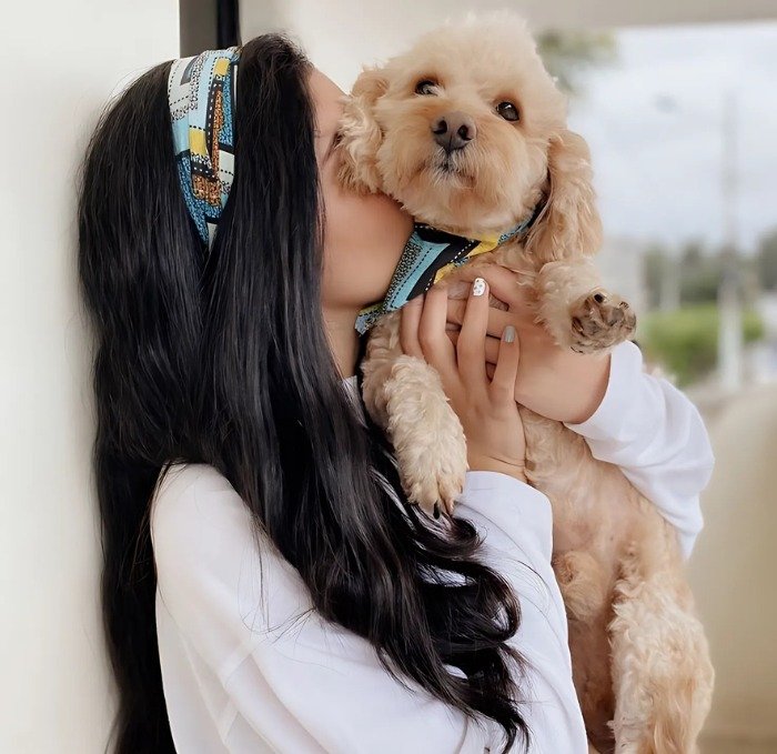 Happy Pet